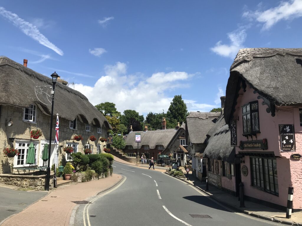 シャンクリン野村